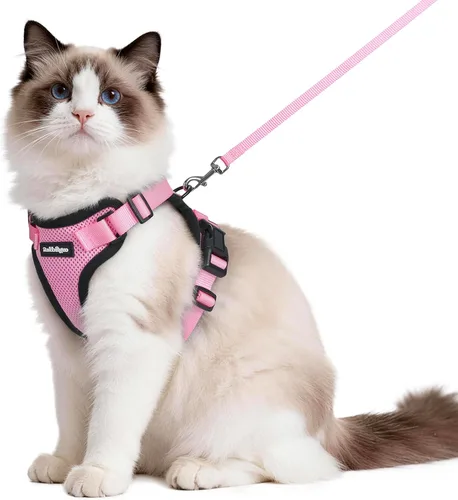 Vista 19 de rabbitgoo Cat Harness and Leash Set, Escape Proof Vest, XXS, Berry Pounce Soft Breathable Mesh, No-choke Adjustable Fit, Snap Buckles, Sturdy