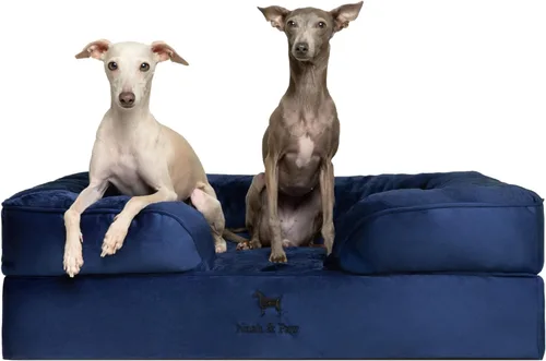 Vista 40 de NOAH & PAW Cama para perros pequeños, 20 x 15 x 8 pulgadas, cama para gatos de interior, espuma viscoelástica ortopédica de cáscara de huevo