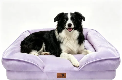 Vista 38 de Spotted Play Cama ortopédica para perros con lados, sofá cama para perros pequeños, sofá cama de espuma de apoyo para mascotas con funda extraíble