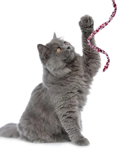 Vista 5 de Sumind 3 piezas de varita de gato de la selva para gato, teaser encantador, juguetes interactivos divertidos varita gatito juguete, 3 estilos
