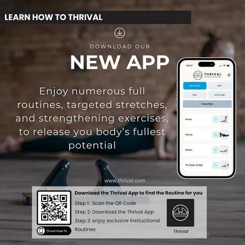 Vista 4 de Thrival - Herramienta de liberación muscular completamente ajustable para psoas, flexor de cadera, espalda, glúteo, iliaco y cuello para liberación