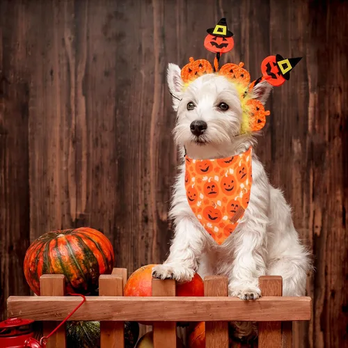 Vista 2 de PTDECOR Bandana de Halloween para perro, bufanda festiva reversible para mascotas, varios tamaños, bandanas triangulares de Halloween para cachorros