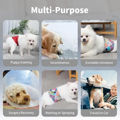 Vista 2 de vecomfy - Pañales lavables y reutilizables a prueba de fugas para perros machos de tamaño pequeño, 5