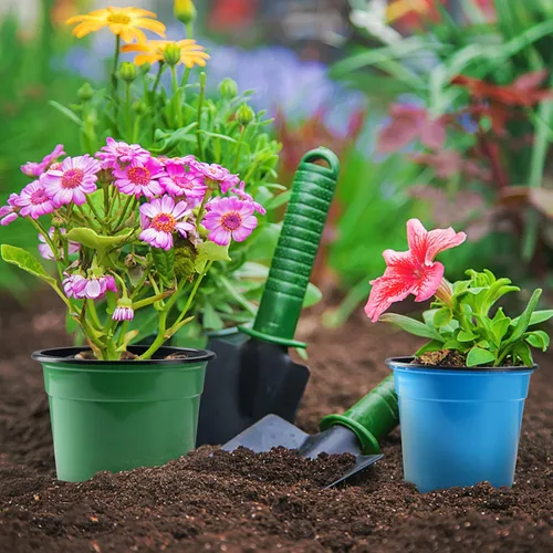 Vista 4 de Oubest Paquete de 30 macetas de plástico para plantas de 5 pulgadas con agujeros de drenaje, flores multicolores, trasplante de plántulas