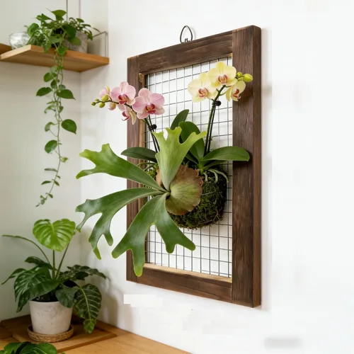 Vista 6 de Kit de montaje de helecho cuerno de ciervo, maceta colgante de pared de madera para orquídeas y jardín vertical, tablero de soporte para plantas