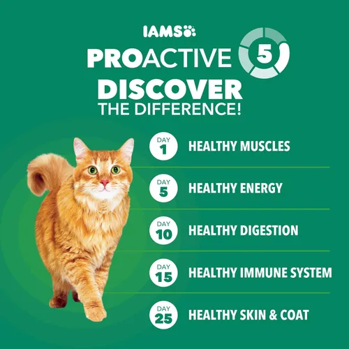 Vista 5 de Comida seca para gatos senior saludable IAMS Proactive Health con pollo, bolsa de 3.5 lb