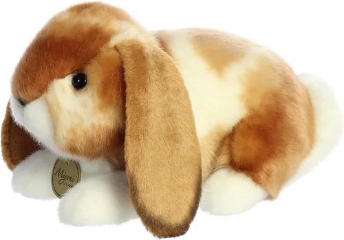 Vista 6 de Aurora - Miyoni - Conejo Holland Lop de 9 pulgadas - Bronceado