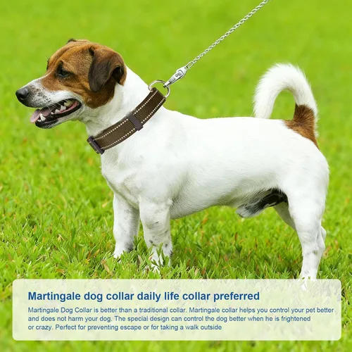 Vista 5 de Collares de perro Martingale reflectantes. Collar de perro con hebilla de liberación rápida. Collar de mascota de nylon ajustable, suave, acolchado