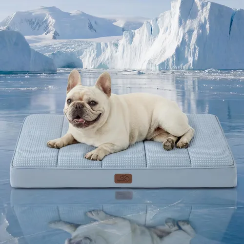 Vista 37 de Bedsure - Cama ortopédica pequeña para perros chicos, impermeable, con funda extraíble lavable, tapete de espuma con forma de huevera para mascotas