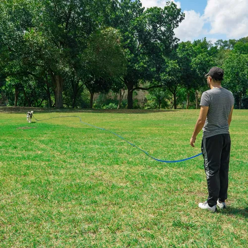 Vista 7 de Hi Kiss Correa de Entrenamiento de Obediencia y Agilidad para Perros/Cachorros - 15 pies 20 pies 30 pies 50 pies 100 pies - Ideal para Jugar
