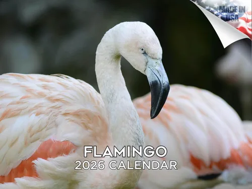 Vista 151 de Calendario de grises africanos 2025 2026 – Planificador mensual de pared de aves africanas – 12 x 18 pulgadas (abierto), calendario de pared