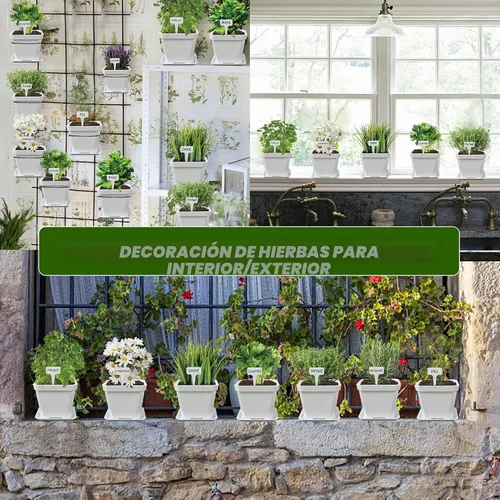 Vista 4 de Kit de cultivo de hierbas, 10 semillas de hierbas, kit de iniciación de jardín, juego completo de cultivo de plantas en maceta que incluye macetas