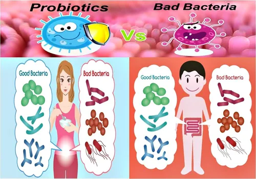 Vista 4 de NOVA Probiotics Multi-Strain Xtreme Care 165 mil millones de probióticos por cápsula-30 VCaps