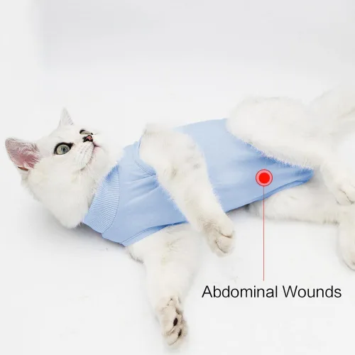 Vista 5 de Traje de cirugía para gatos, traje quirúrgico de recuperación profesional para heridas abdominales o enfermedades de la piel, alternativa de collar