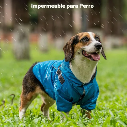 Vista 2 de JoyDaog Impermeable para perros con capucha, chaqueta impermeable para Azul