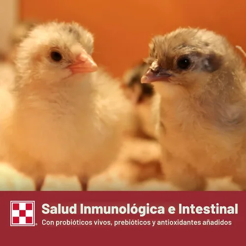 Vista 7 de Purina Comience y crezca Nutricionalmente Completo Alimento Medicado Crumbles Bolsa de 25 libras (25 libras)