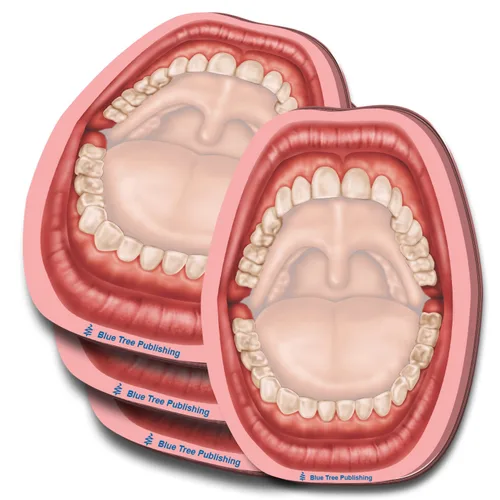 Vista 24 de Notas Adhesivas de Anatomía