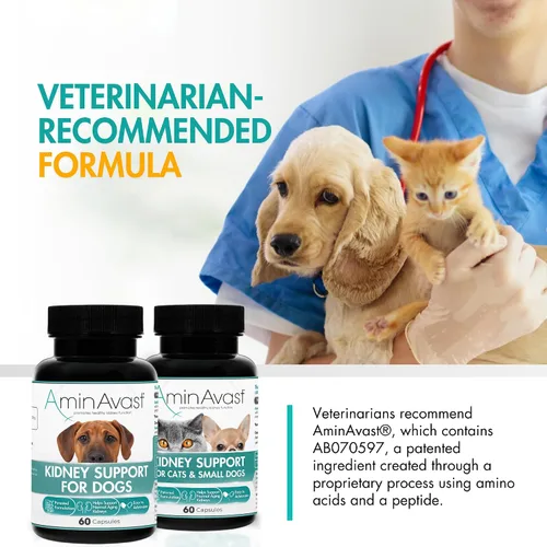 Vista 8 de AminAvast Suplemento de riñón para perros - Apoya la función renal natural - Promueve la salud y la vitalidad del envejecimiento de los riñones