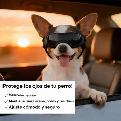 Vista 3 de Gafas de sol para perros para razas extra pequeñas, protección UV, resistentes al viento, XS con correas ajustables para la cabeza y la barbilla