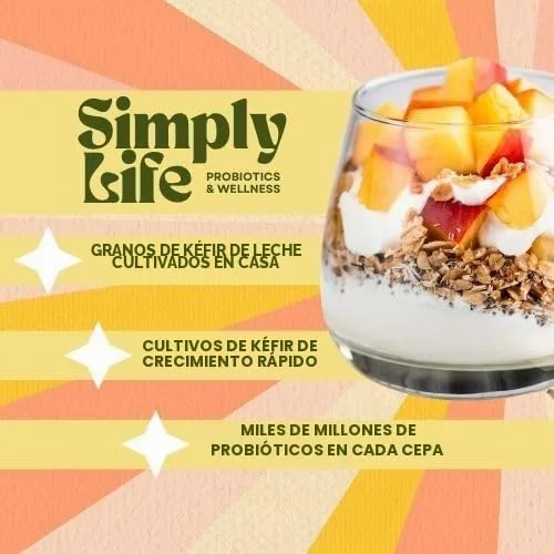 Vista 2 de Granos de kéfir de leche para hacer bebidas probióticas de kéfir