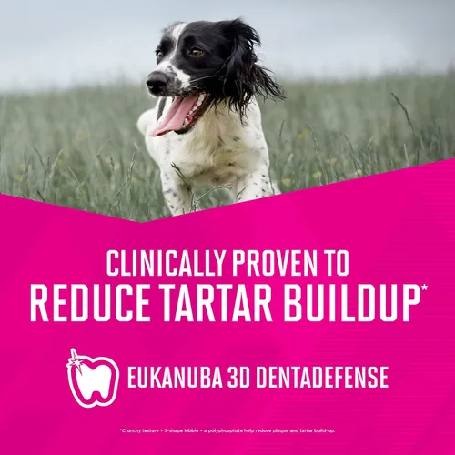 Vista 9 de Comida para perros seca EUKANUBA Senior