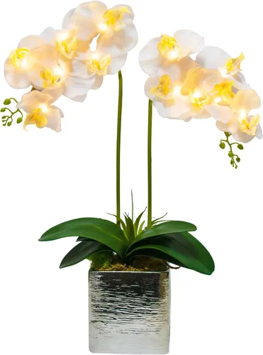 Vista 7 de Arreglo floral artificial con luces LED Homeseasons, funciona con batería, maceta con orquídeas, 9 luces Blanco