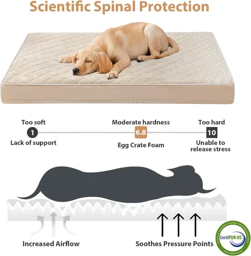 Vista 3 de WNPETHOME Camas ortopédicas XL para perros grandes, impermeables, extra grandes, con funda extraíble y lavable, cama para jaula de perro