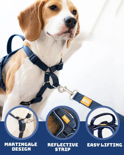 Vista 2 de DF Freedom - Juego de arnés y correa para perro, arnés ajustable con clip frontal con mango reflectante y acolchado, fácil para caminar y entrenar