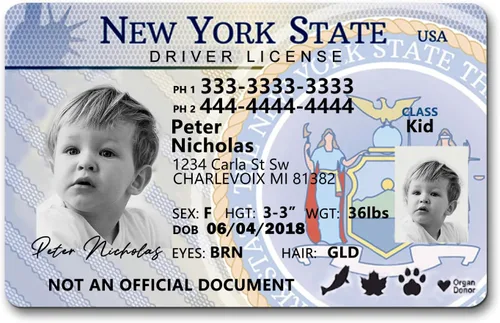 Vista 7 de Tarjeta de identificación de seguridad infantil para niños, licencia de conducir novedosa para niños menores de 12 años Insignias