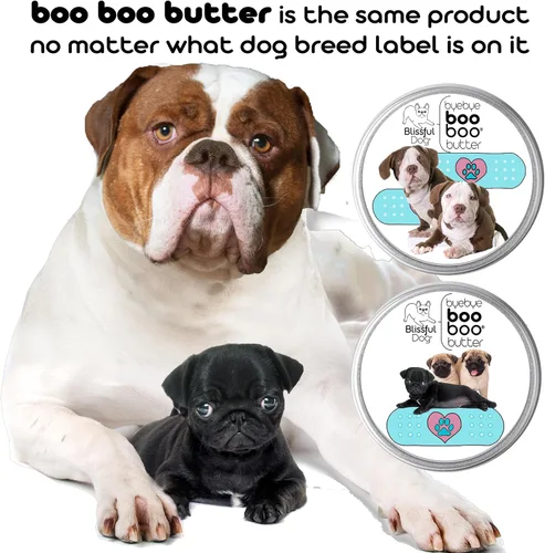 Vista 4 de The Blissful Dog 1 oz TIN St. Bernard Booboo Mantequilla