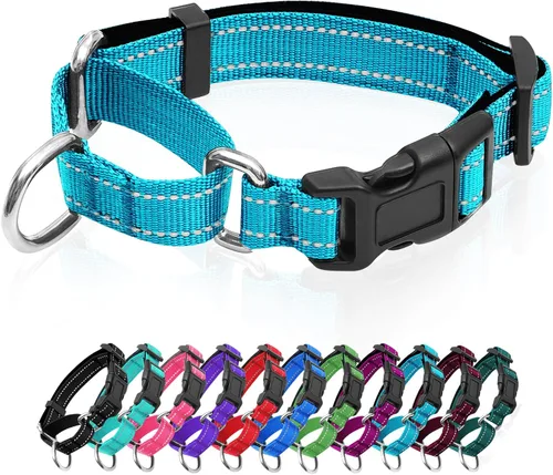Vista 14 de Collares de perro Martingale reflectantes. Collar de perro con hebilla de liberación rápida. Collar de mascota de nylon ajustable, suave, acolchado