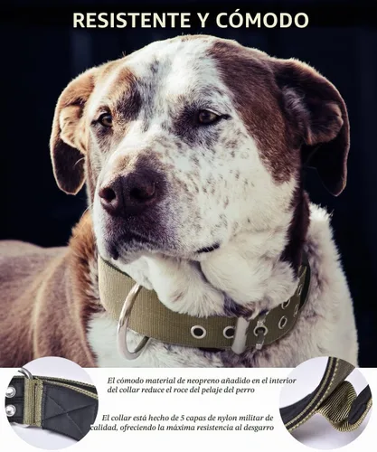 Vista 3 de Collar de perro grande resistente – 2 pulgadas de ancho con asa para perros de razas extra grandes, collar táctico de nailon a prueba de mordidas