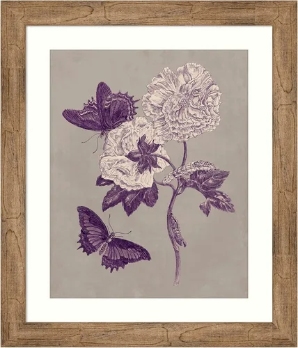 Vista 16 de Amanti Art Lienzo decorativo para pared, 24 x 20 pulgadas, estudio de la naturaleza en ciruela y gris pardo IV por Maria Merian, arte de pared