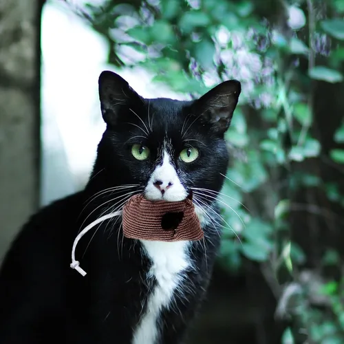Vista 6 de 6pcs Plush Striped Cat Mouse with Catnip Soft Lightweight Interactive Chew for Indoor Cats and Kittens Wear-Resistant Material for Active Play and