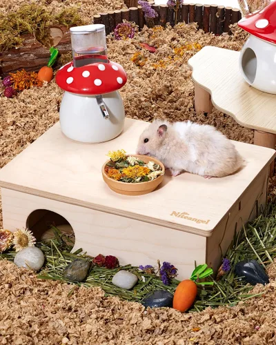 Vista 5 de Niteangel Juguete de bocadillos y golosinas para hámster: mezcla natural de animales pequeños para robo sirio, jerbos, ratones, limmings degus u