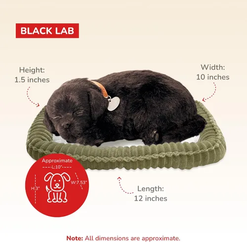 Vista 3 de Perfect Petzzz - Original Petzzz Labrador negro, realista, juguete de mascota de peluche interactivo hecho a mano al 100% con piel sintética