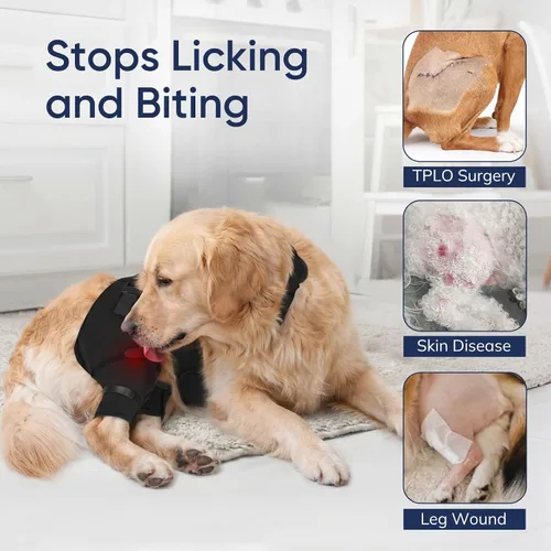 Vista 4 de Supet Dog Rear Leg Sleeve to Stop Licking- Potty-Friendly for TPLO ACL Surgery Leg Injuries, Chew Resistant Washable Recovery Sleeve, for Male and