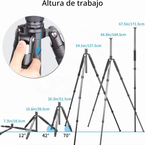 Vista 6 de Trípode de Fibra de Carbono - INNOREL RT75C Sin Cabeza de Bola Trípode Super Profesional Monopié Resistente Trípode Compacto Soporte de Stand