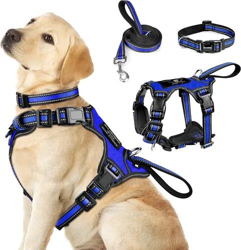 Vista 11 de Juego de arnés reflectante todo en uno para perro, collar y correa, sin tirones con hebillas ajustables, talla XL, azul oscuro