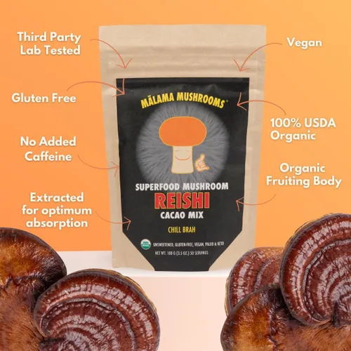 Vista 7 de Malama Productivity & Chill Bundle – Mezclas de cacao caliente de melena de león y hongos Reishi – Superalimentos adaptogénicos funcionales