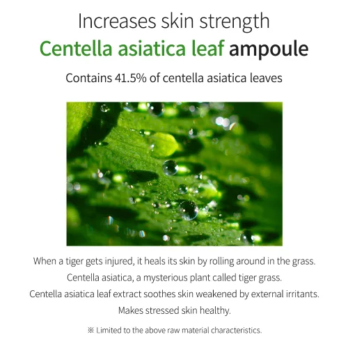 Vista 4 de WELLDERMA Tea Tree Herb Tox Cica Serum, 1.69 onzas líquidas – Suero facial hidratante y equilibrante con centella asiática, árbol de té y niacinamida
