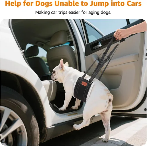 Vista 3 de LOOBANI - Arnés portátil para perros pequeños, soporte para patas traseras débiles Walking & Stair Assistance, Senior Dog Mobility, Padded