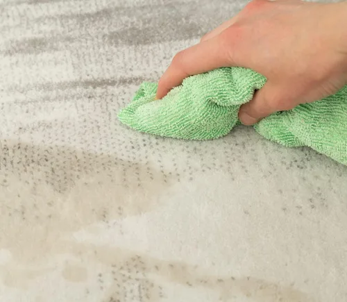 Vista 5 de Pat's Spot + removedor de manchas, limpiador profesional de alfombras, telas y tapicería, 32 onzas (paquete de 2) Más de 40 años de expertos
