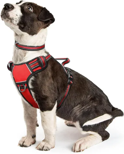Vista 9 de Arnés para perro sin tirones, arneses para mascotas con collar, chaleco Oxford reflectante y ajustable, hebillas delanteras y traseras para correa