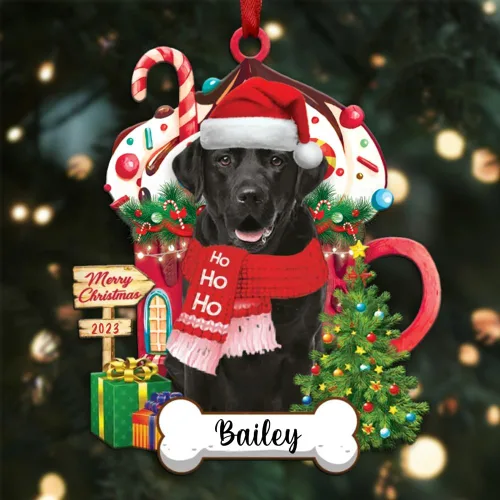Vista 18 de Akita1 - Adorno personalizado para perro, adorno de perro con nombre personalizado, plano impreso en 2D, acrílico colgante, Papá Noel y perro