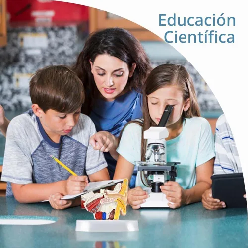 Vista 5 de Modelo de anatomía del oído humano de 1,5 veces con base