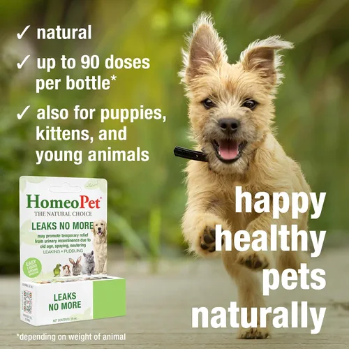 Vista 4 de HomeoPet No más fugas, alivio de la incontinencia urinaria para mascotas, medicina segura y natural para la incontinencia, 0.5 fl oz