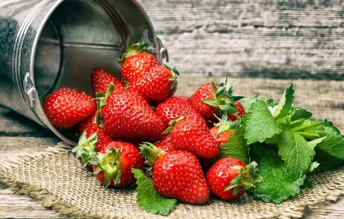Vista 7 de Semillas Fresca Gigante Fresca - Frutas Perennes para Plantar - Sin OGM
