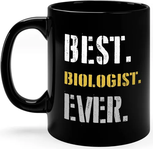 Vista 110 de Best Accountant Ever - Taza de regalo divertida y única, regalo para compañeros de trabajo, regalo para miembros de la familia, regalos