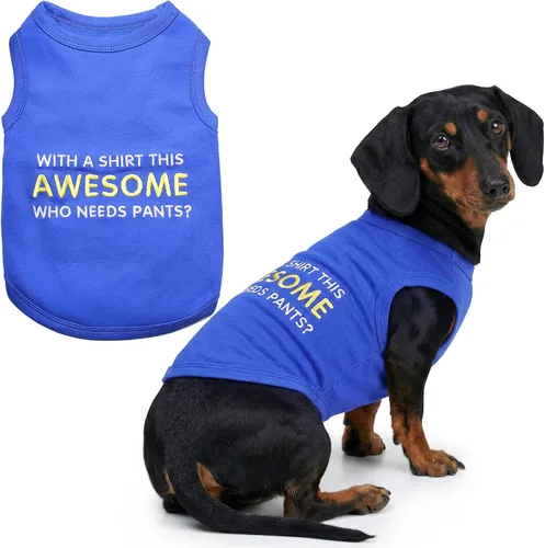 Vista 20 de Camiseta para perro Parisian Pet con palabras bordadas "Es mi cumpleaños" - Camiseta sin mangas para cumpleaños de perro - Chaleco ligero
